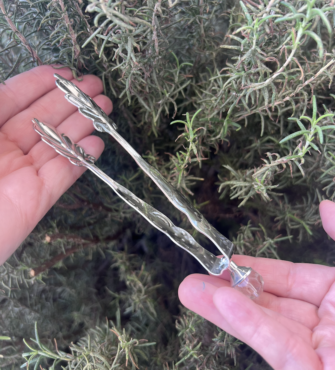 Pinzas para carbón⎮Hoja plateada